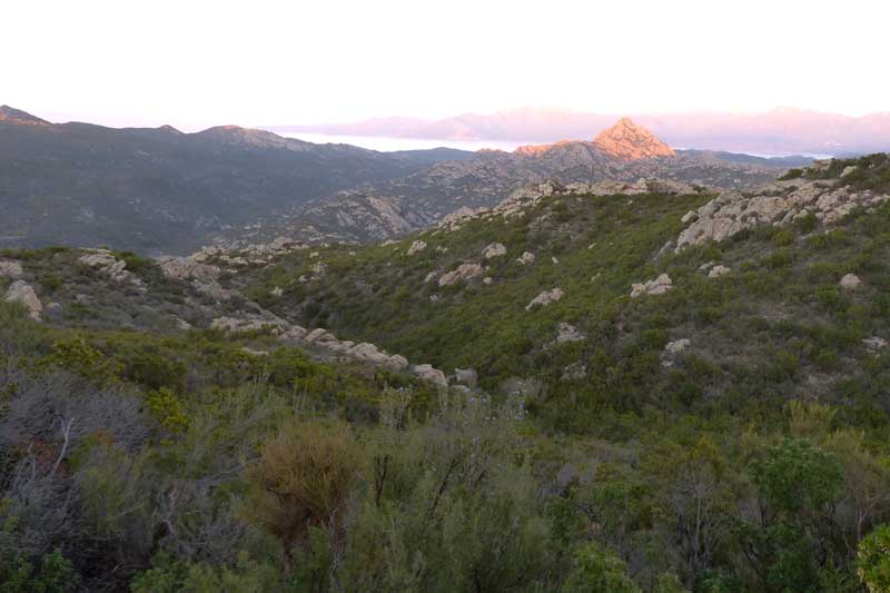 Les Agriate-au-coucher-du-soleil
