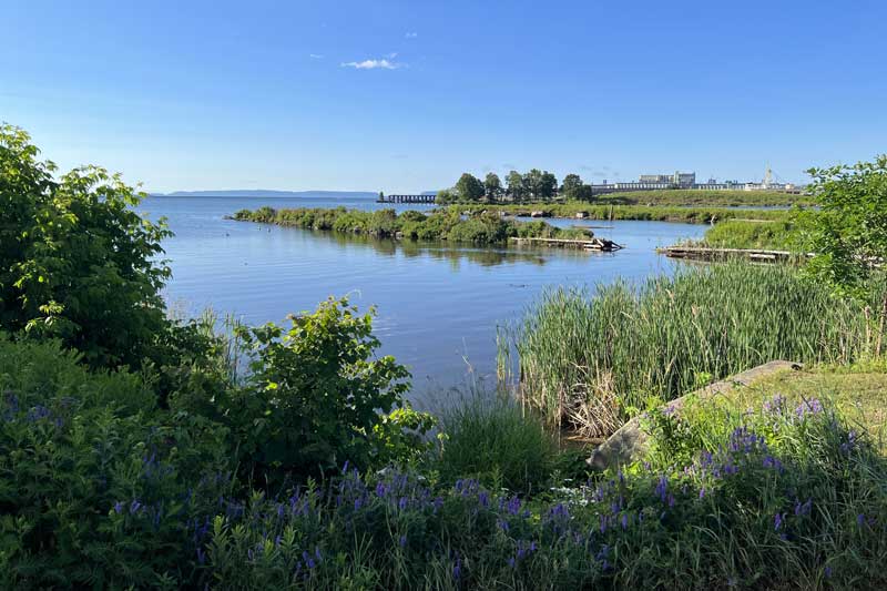 Depuis Spirit Garden, vers le port au sud