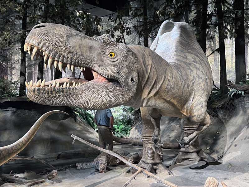 Tyrannaosaure