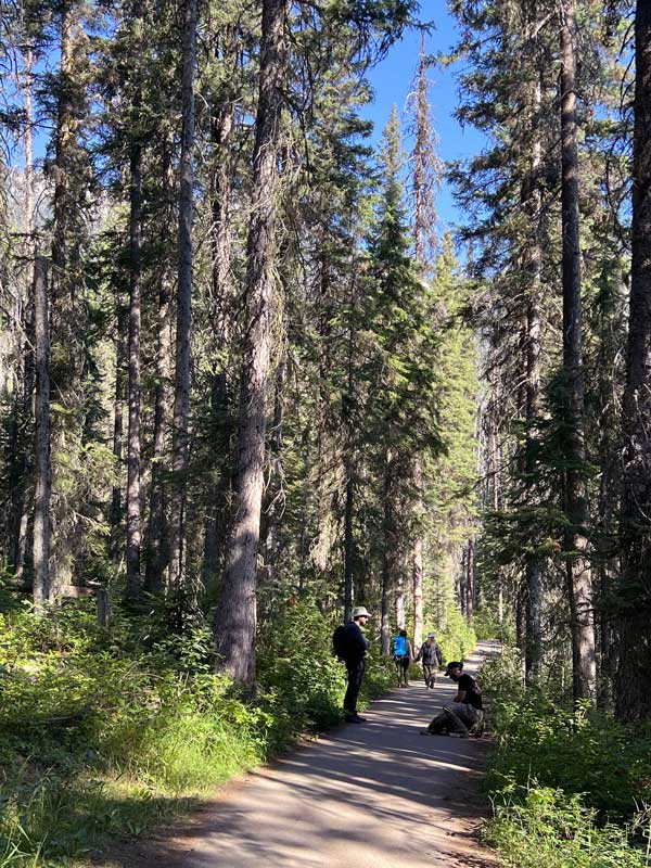 Le sentier autour du Lac Emerald