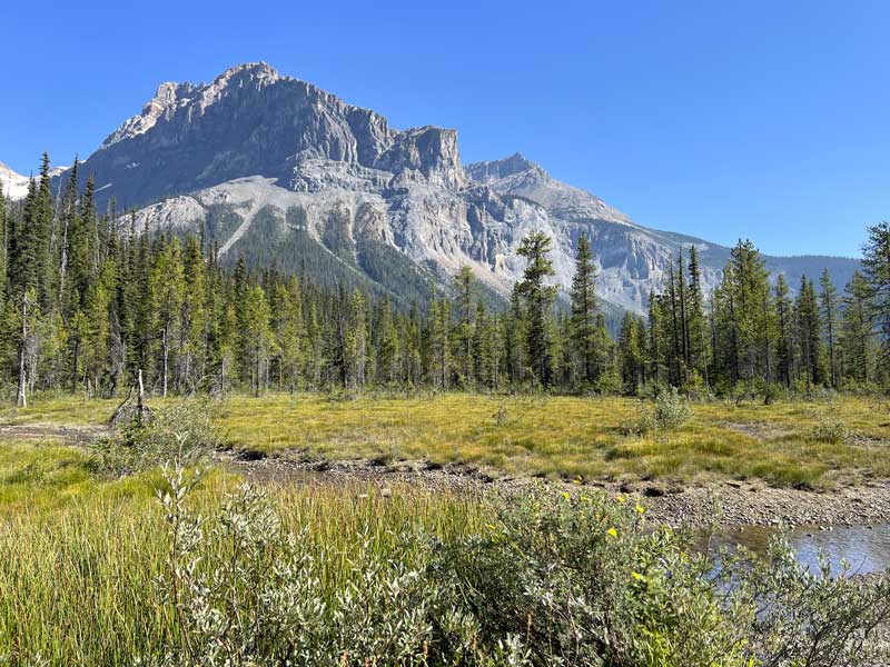 Emerald-Lake-fond-du-lac-et-mont-Burgess-(2-599m).