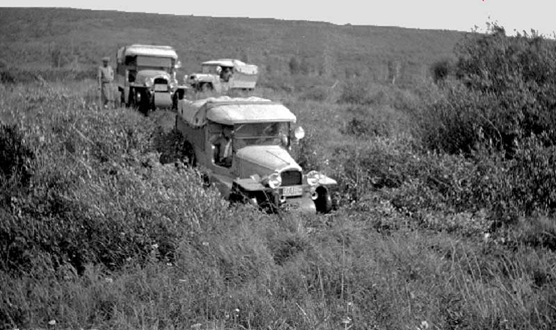 Bedaux_half-trucks_in_Peace_River_Country