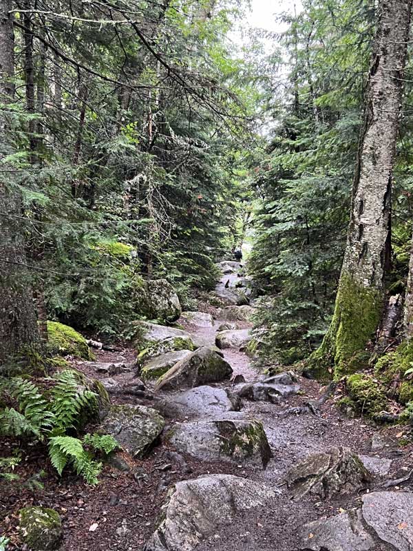Agawa: descente vers le-rocher-aux-pictographes
                    sur le sentier raide et glissant