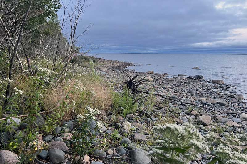 rivage-du-Lac-Superieur-depuis--Lighthouse-Point