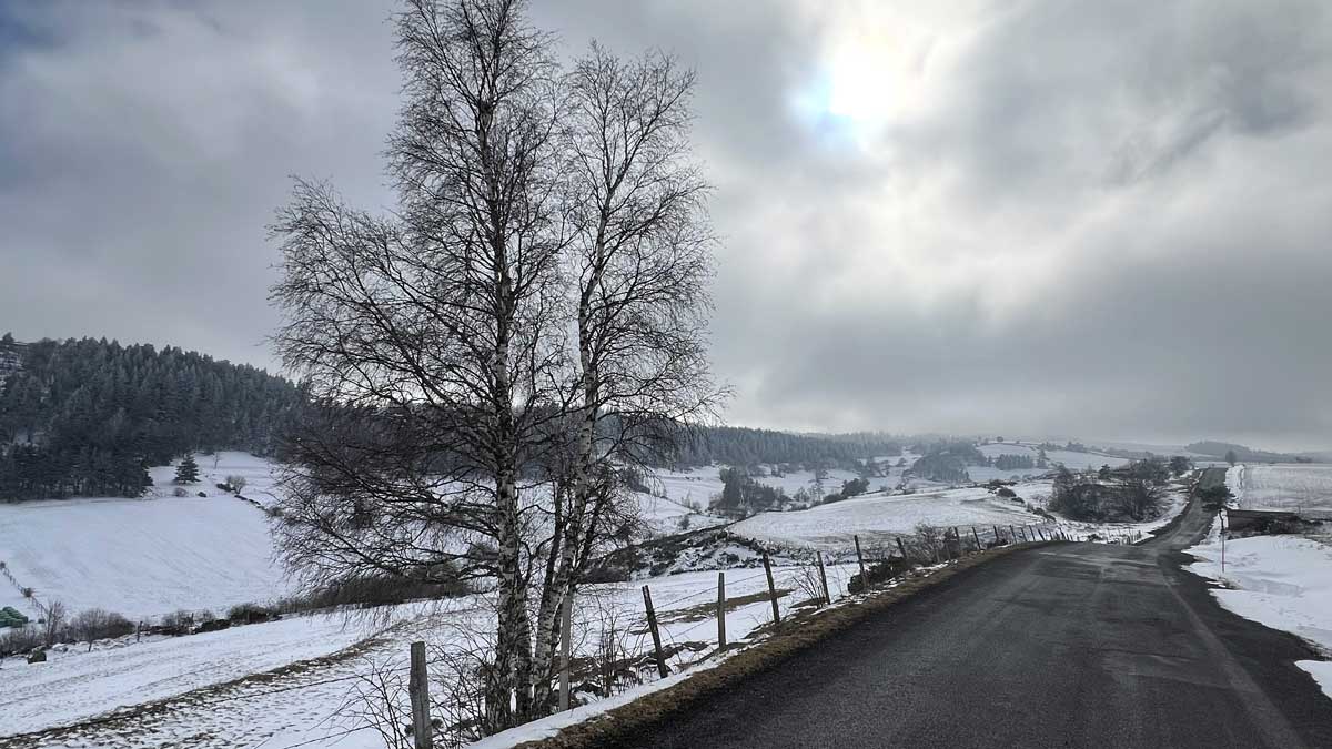 Dans-la-Margeride-sur-la-D1.
