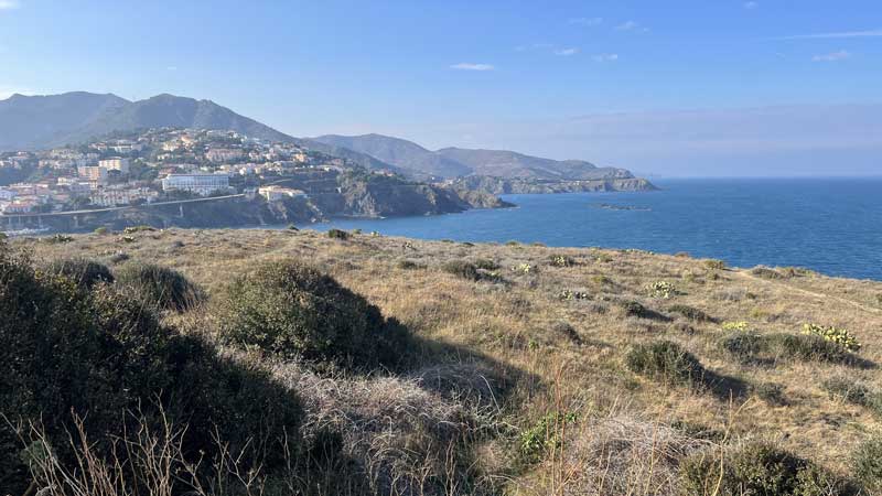 Banyuls