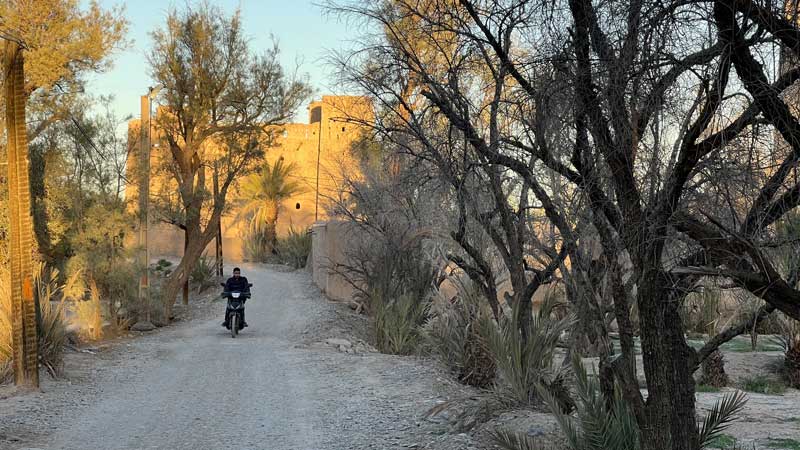 Skoura : la route
                  traversant la palmeraie