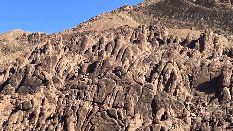 Vallee-du-Dades-Pattes-de-singes