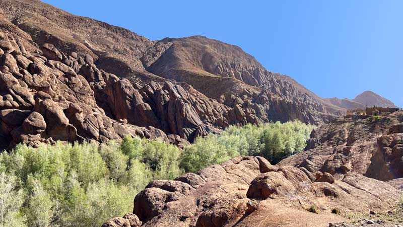 Vallee-du-Dades-les-Doigts-de-singe