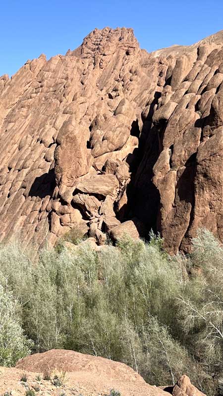 Vallee-du-Dades-les-Doigts-de-singe-detail