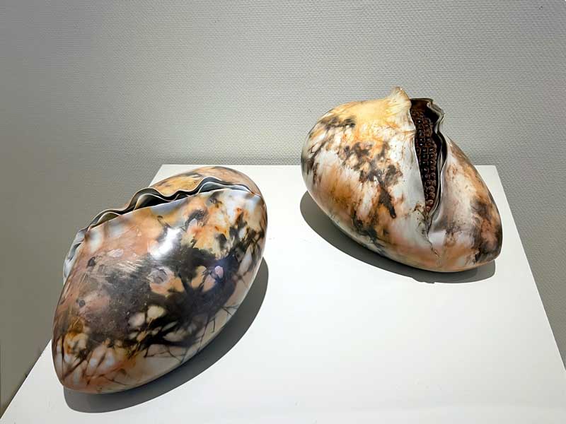 Exposition Judy Blake : D'envleoppes et de
                  semences