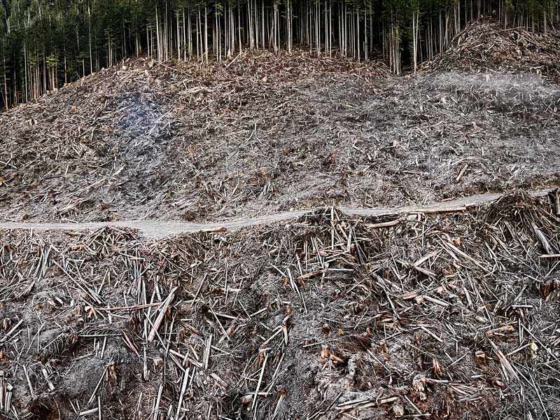 Claearcut-%235-Vancouver-Island-BC-par-Edward-Burtynsky-2017