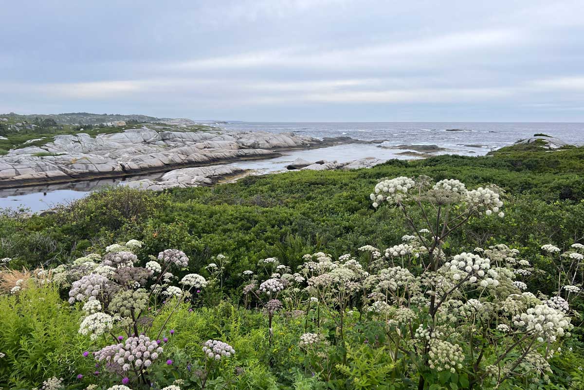La côte près de Peggy's-Cove