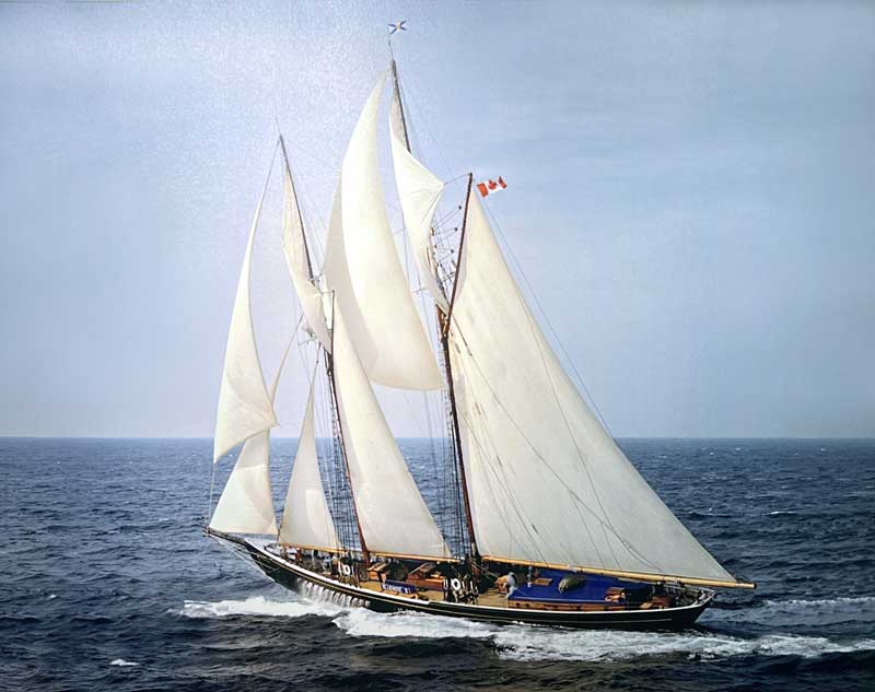 Buenose II toutes voiles dehors