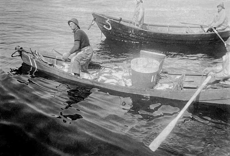 Lunenburg : retour de pêche miraculeuse à bord du
            doris
