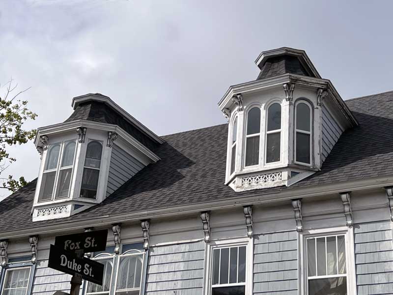 Lunenburg-chiens-assis