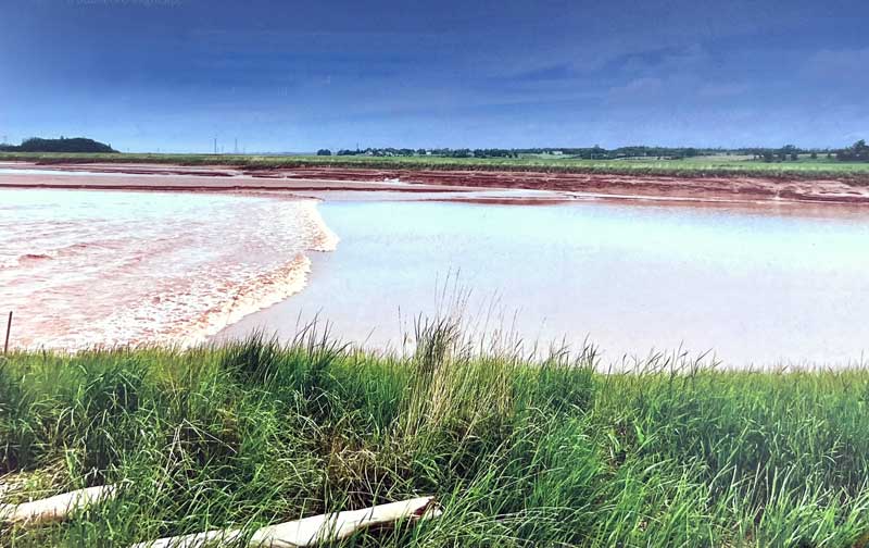 Truro : le mascaret sur la Salmon River devant le
                  Fundy-Discovery-Site.