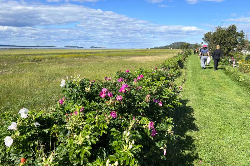 St-André-de-Kamouraska sur la digue