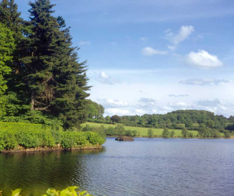 Étang du Champ-de-la-Pierre