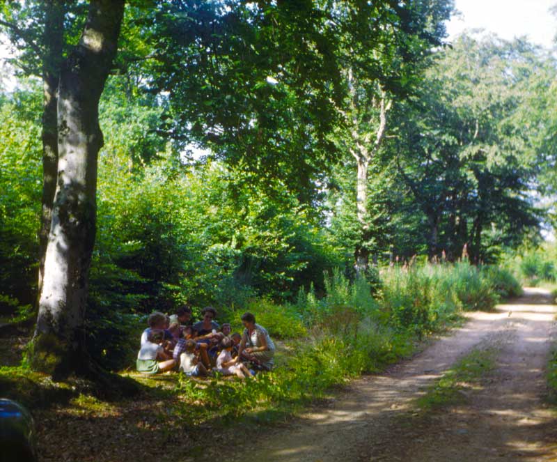 Piquenique familial au Bois de Saint-Clair