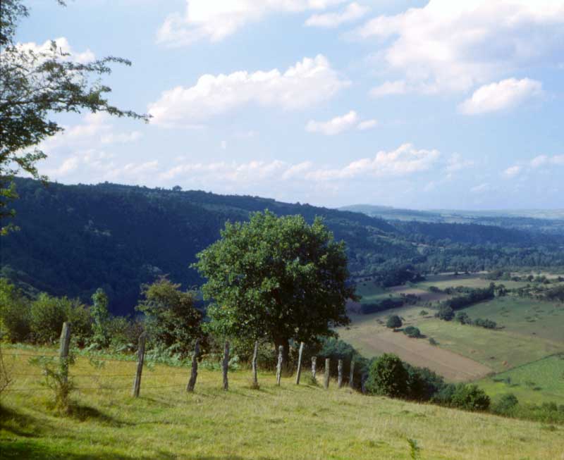 Pentes du Desssous de Bois