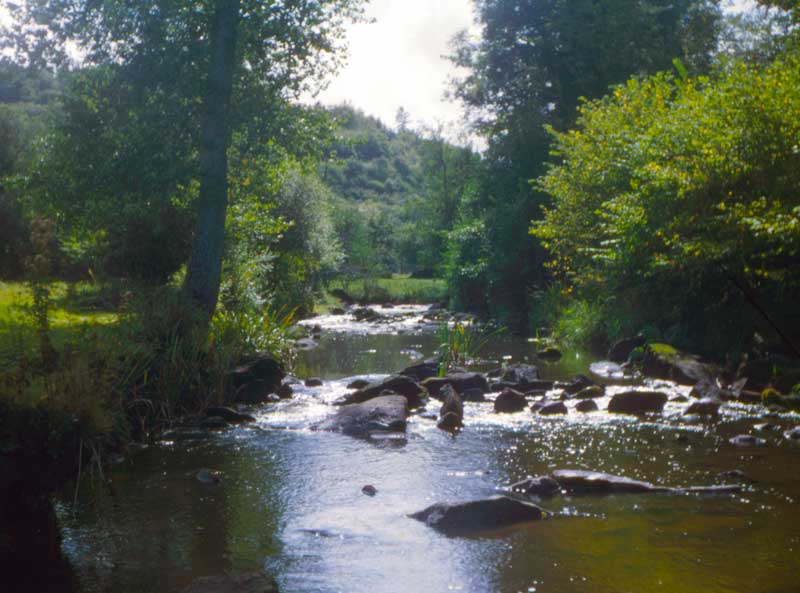 La Rouvre au Pont de Taillebois