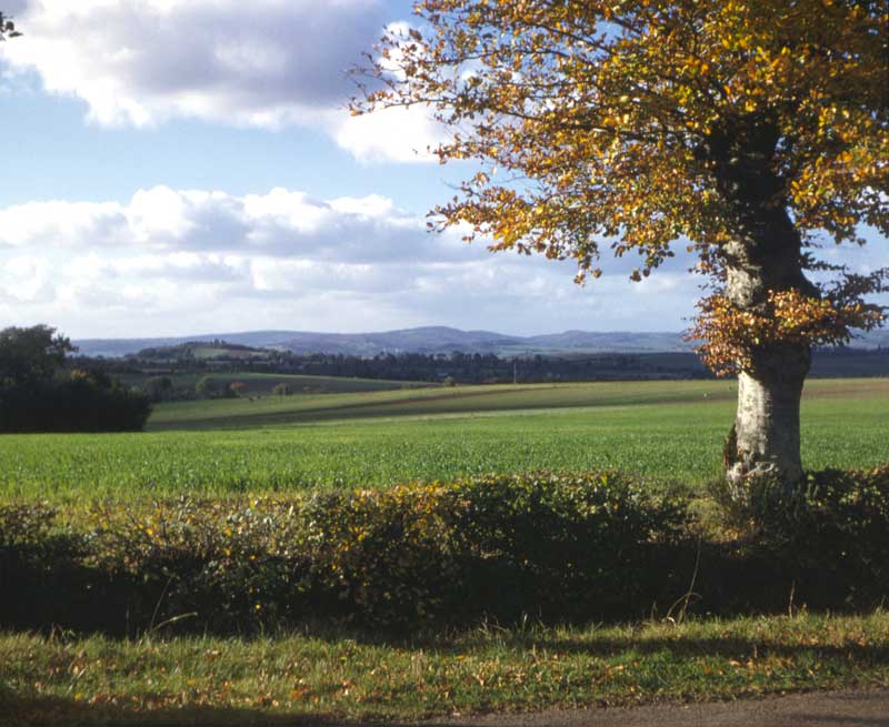 À
              Donnay, sur le route de Caen
