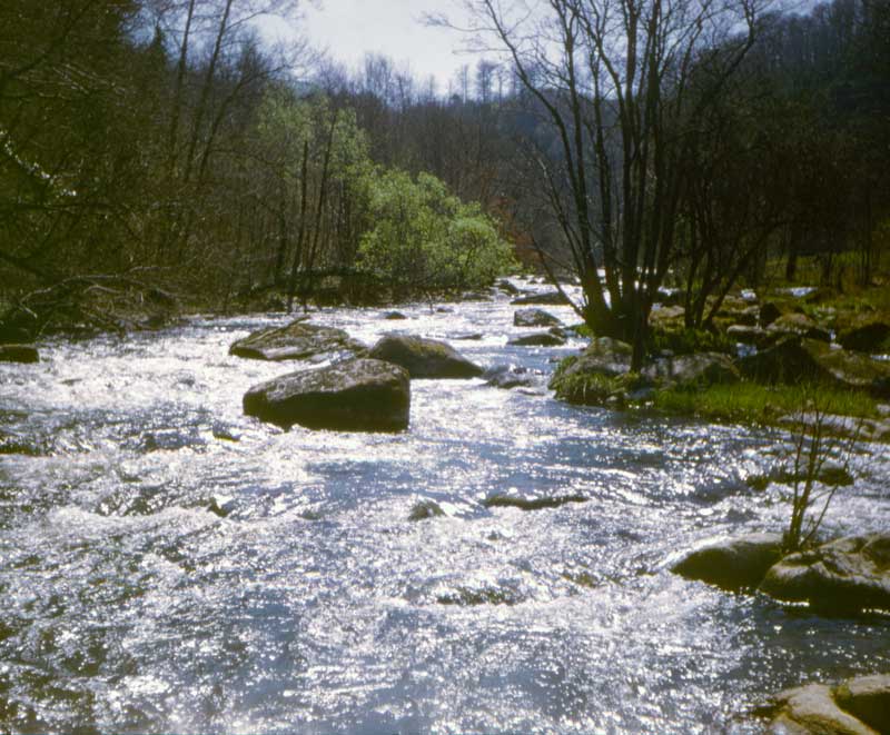 Gorges de St-Aubert crue de printemps sur la Pierre
              Plate