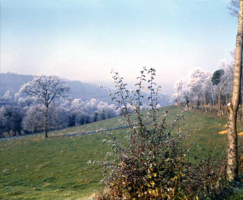 Matin clair et froid sur le chemin du Fleurion