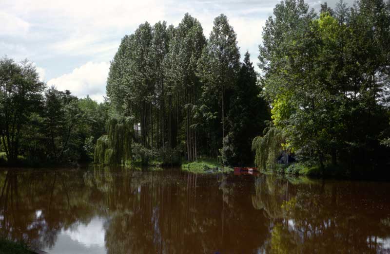 Confluent de l'Orne et du Noireau à Pont d'Ouilly