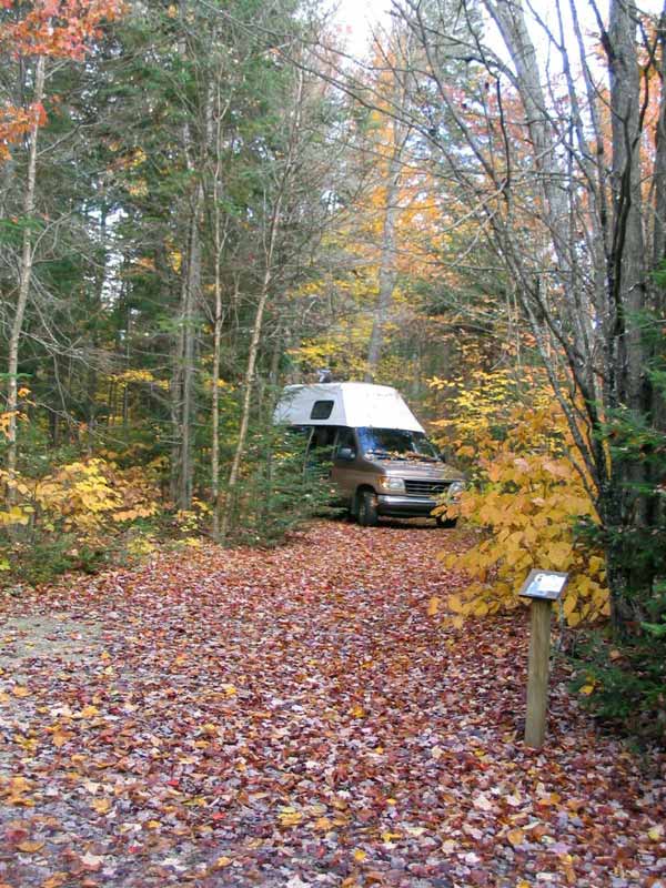 Parc du Mont-Tremblant, Guepard au camping La
                Ménagerie