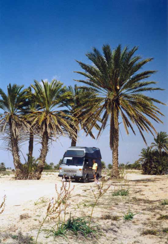Sous les
                    palmiers de Djerba (Tunisie) avec l'Aigle en 1997